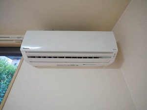 シードほなみⅡ 0102号-11