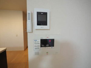 シードほなみⅡ 0102号-12