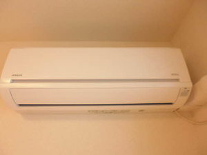 フェリシード A102号-13