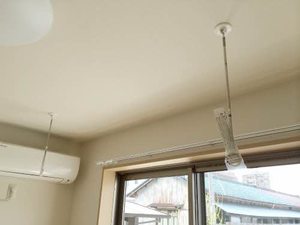 シャルマン市場木 0101号-11