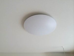 シャルマン市場木 0101号-12