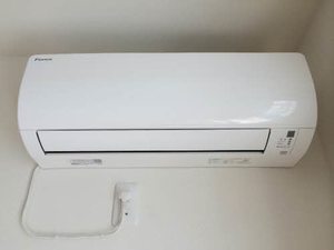 シャルマン市場木 0101号-13