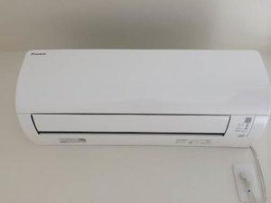 シャルマン市場木 0202号-3