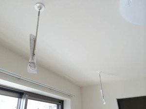 シャルマン市場木 0202号-4