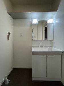 シャーメゾン秋和 0201号-8