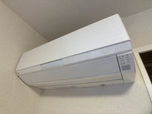 ヴィア パエーゼ 0201号-9