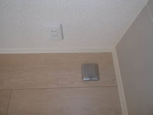 アリスティオ 0101号-4