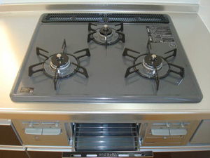 ナディア長折南 B101号-7