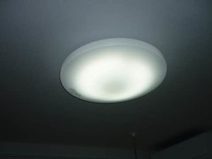 グリーンコート 0203号-11