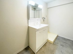 プレシオン猫洞 0302号-10