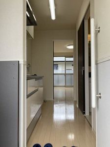 プチマーガレット 0202号-13