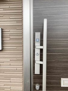 プチマーガレット 0202号-14