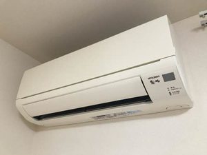 シェーブル・ゴート 0101号-13