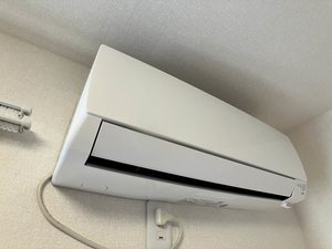 シエロ 0101号-10