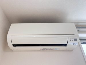 ＬｕｓｈＭｏｒｅ 0101号-14