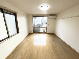 ドリームハイツ 0201号-3