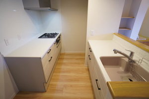 Ｃｒｅｓｔｉｅｑ　Ｎａｋａｄａ（クレスティーク　ナカダ） 0202号-8