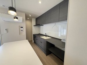 シャン　ヴィラージュ 0105号-3