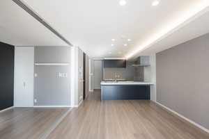 シリウス 0102号-3