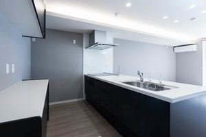 シリウス 0102号-4