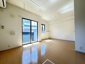 ブリーズメゾン 0101号-3