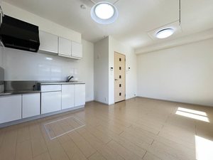 ブリーズメゾン 0102号-3