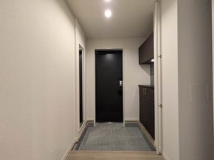 南丸之内 ShaMaison Hills 0101号-9
