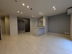 南丸之内　ＳｈａＭａｉｓｏｎ　Ｈｉｌｌｓ 0302号-2