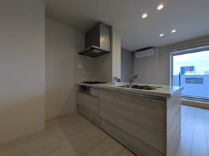 南丸之内　ＳｈａＭａｉｓｏｎ　Ｈｉｌｌｓ 0302号-3