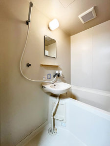 ＣＡＲＭＥＬ 0102号-9