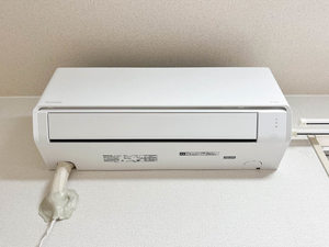 ＣＡＲＭＥＬ 0102号-11