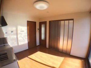 プラシノス利平治 B102号-3