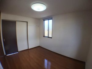 プラシノス利平治 B102号-9