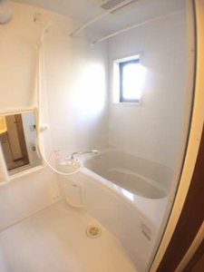 プラシノス利平治 B102号-10