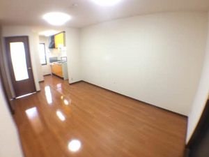 プラシノス利平治 C102号-2