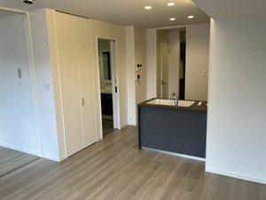 アンソレイエ 0203号-11