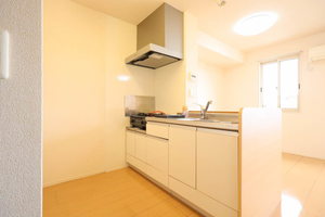 ルミエール 0202号-7