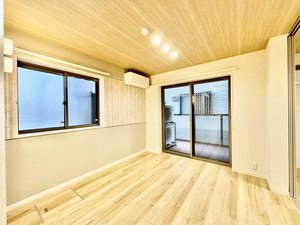 ハイドランジア 0101号-5