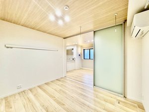 ハイドランジア 0101号-8