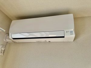 Ｐｒｉｍａｖｅｒａ（プリマヴェーラ） 0202号-11