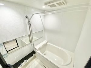 セントリビエ 0202号-12