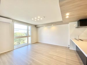 セントリビエ 0301号-4