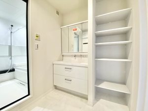 セントリビエ 0301号-11