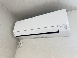 アベニール安東 0201号-11