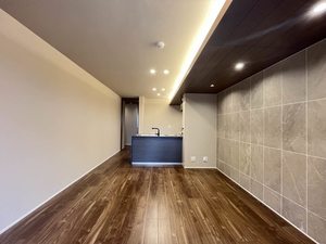 メゾン　ド　パーシモン 0101号-2