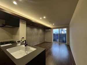 メゾン　ド　パーシモン 0101号-3