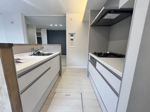 Ｓｈａ　Ｍａｉｓｏｎ　Ｅｓｔａｔｅ 0101号-3