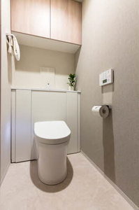 マストスタイル泉 1303号-9