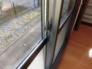 ｃｅｄｌｅ　三番館 3106号-9