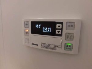 ｃｅｄｌｅ　三番館 3106号-13